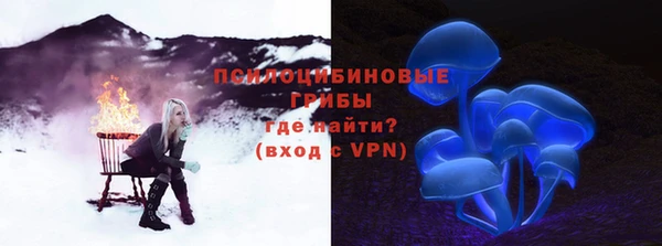 молекула духа Балахна