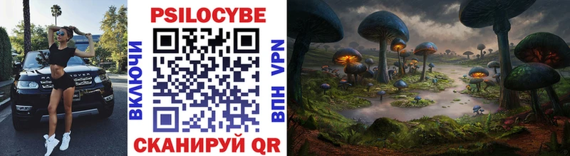 Галлюциногенные грибы ЛСД  Гулькевичи 