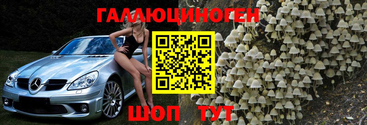 Псилоцибиновые грибы MAGIC MUSHROOMS Гулькевичи