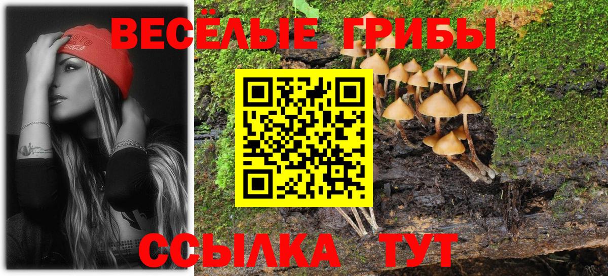закладка  Псилоцибиновые грибы Psilocybe  Вход с VPN  Гулькевичи 